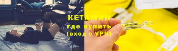 крисы Надым