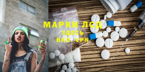крисы Надым