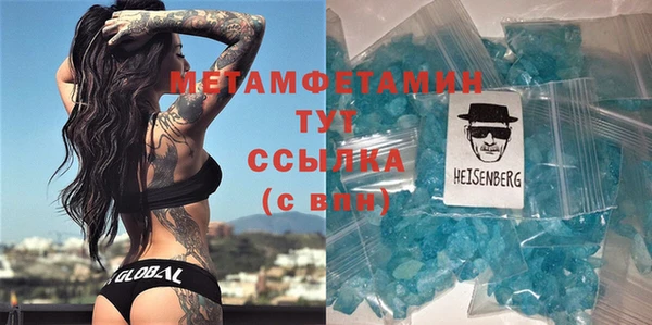 крисы Надым