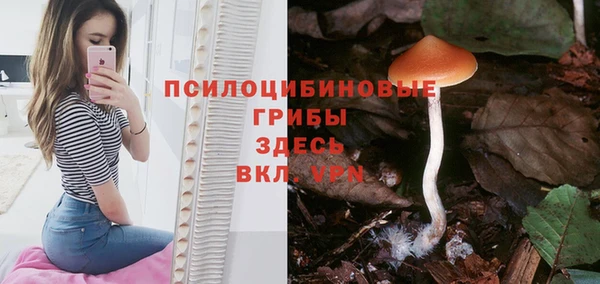 крисы Надым