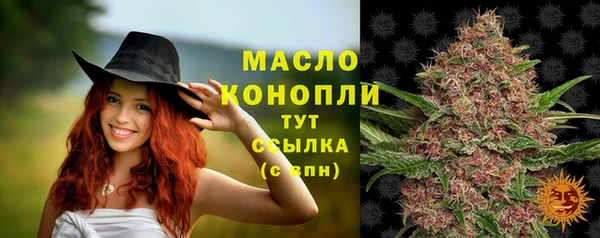 крисы Надым