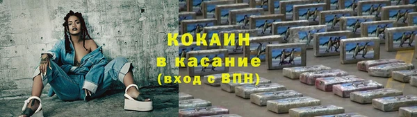 крисы Надым